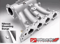 SKUNK2 307-05-0260 PRO-SERIES INTAKE MANIFOLD: D-SERIES 88-00 (D16A-Z)